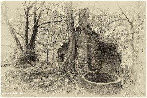 IMG_9535_6_7_tonemapped