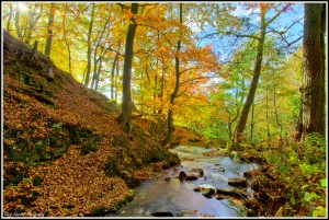 IMG_0760_1_2_tonemapped