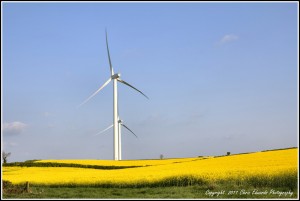 IMG_2812_3_4_tonemapped