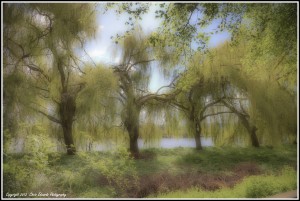 IMG_5848_49_50_tonemapped